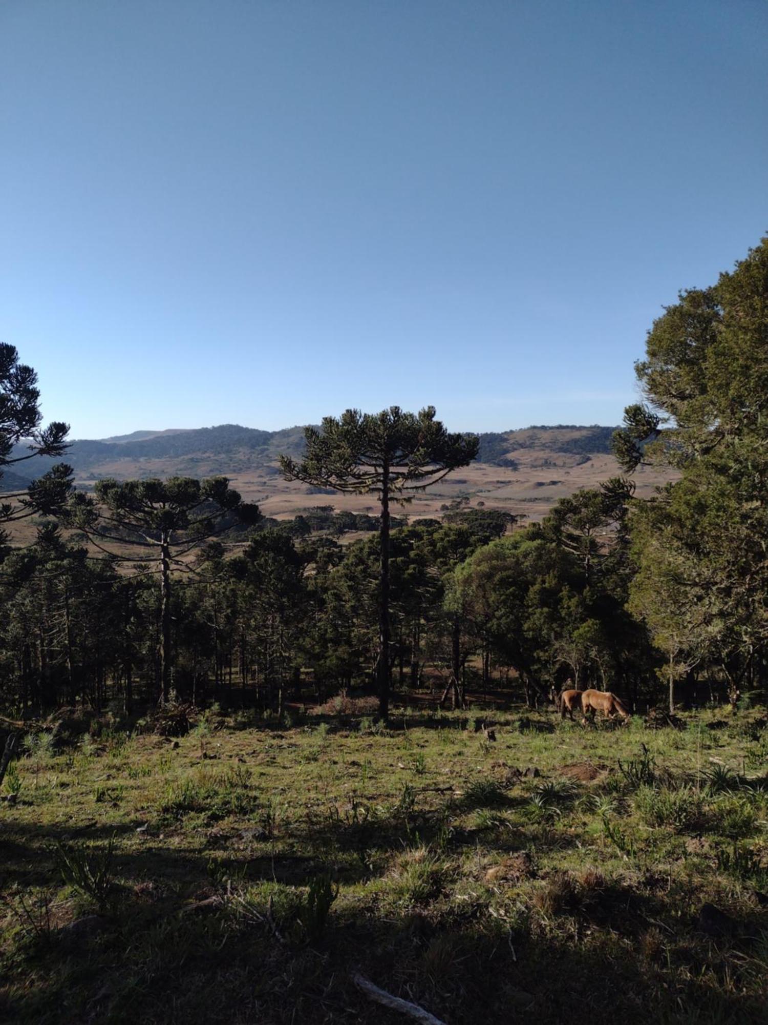 木屋 Rural Alpen Com Hidromassagem - Cozinha Completa Bom Jardim da Serra